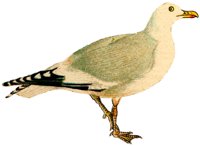 AAY50054.JPG