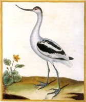 AAY50043.JPG