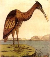 AAY50035.JPG
