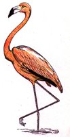 AAW50027.JPG
