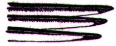 AAV50007.JPG