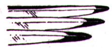 AAV50006.JPG