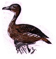 AAU50239.JPG