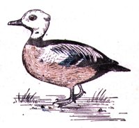 AAU50236.JPG