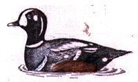 AAU50234.JPG
