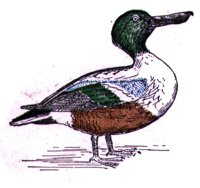 AAU50222.JPG
