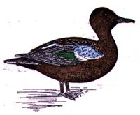 AAU50221.JPG