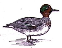 AAU50219.JPG