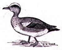 AAU50218.JPG