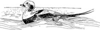 AAU50174.JPG