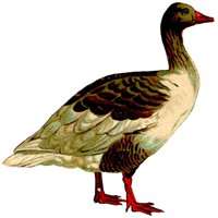 AAU50153.JPG