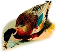 AAU50152.JPG