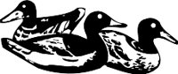 AAU00089.WMF