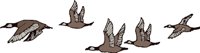 AAU00085.WMF