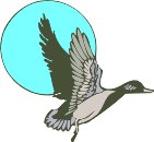 AAU00032.WMF
