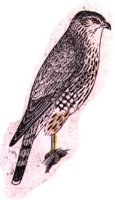 AAT50311.JPG