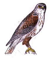 AAT50304.JPG