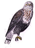 AAT50303.JPG