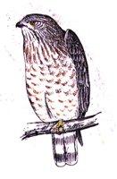 AAT50301.JPG