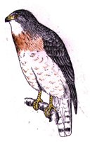 AAT50300.JPG