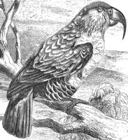 AAT50273.JPG