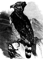 AAT50254.JPG