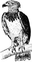 AAT50240.JPG