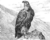 AAT50222.JPG