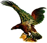 AAT50198.JPG