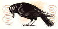 AAS50921.JPG