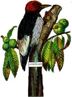 AAS50917.JPG