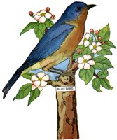 AAS50915.JPG