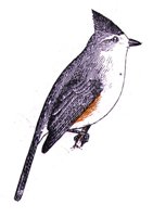 AAS50906.JPG