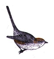 AAS50904.JPG