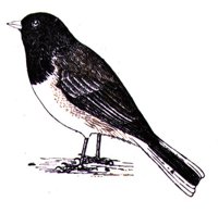 AAS50903.JPG