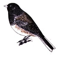 AAS50902.JPG
