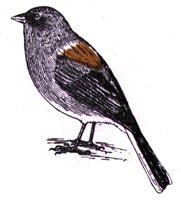 AAS50901.JPG
