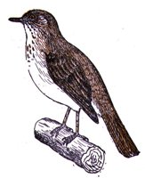 AAS50897.JPG