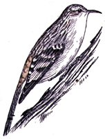 AAS50896.JPG