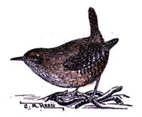 AAS50894.JPG