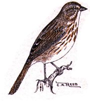 AAS50886.JPG