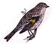 AAS50880.JPG