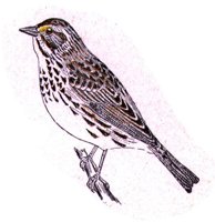 AAS50876.JPG