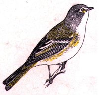 AAS50859.JPG
