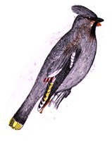 AAS50836.JPG