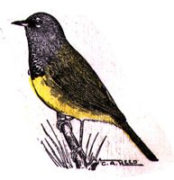 AAS50827.JPG
