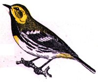 AAS50825.JPG