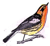 AAS50823.JPG