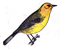 AAS50822.JPG