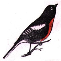 AAS50815.JPG